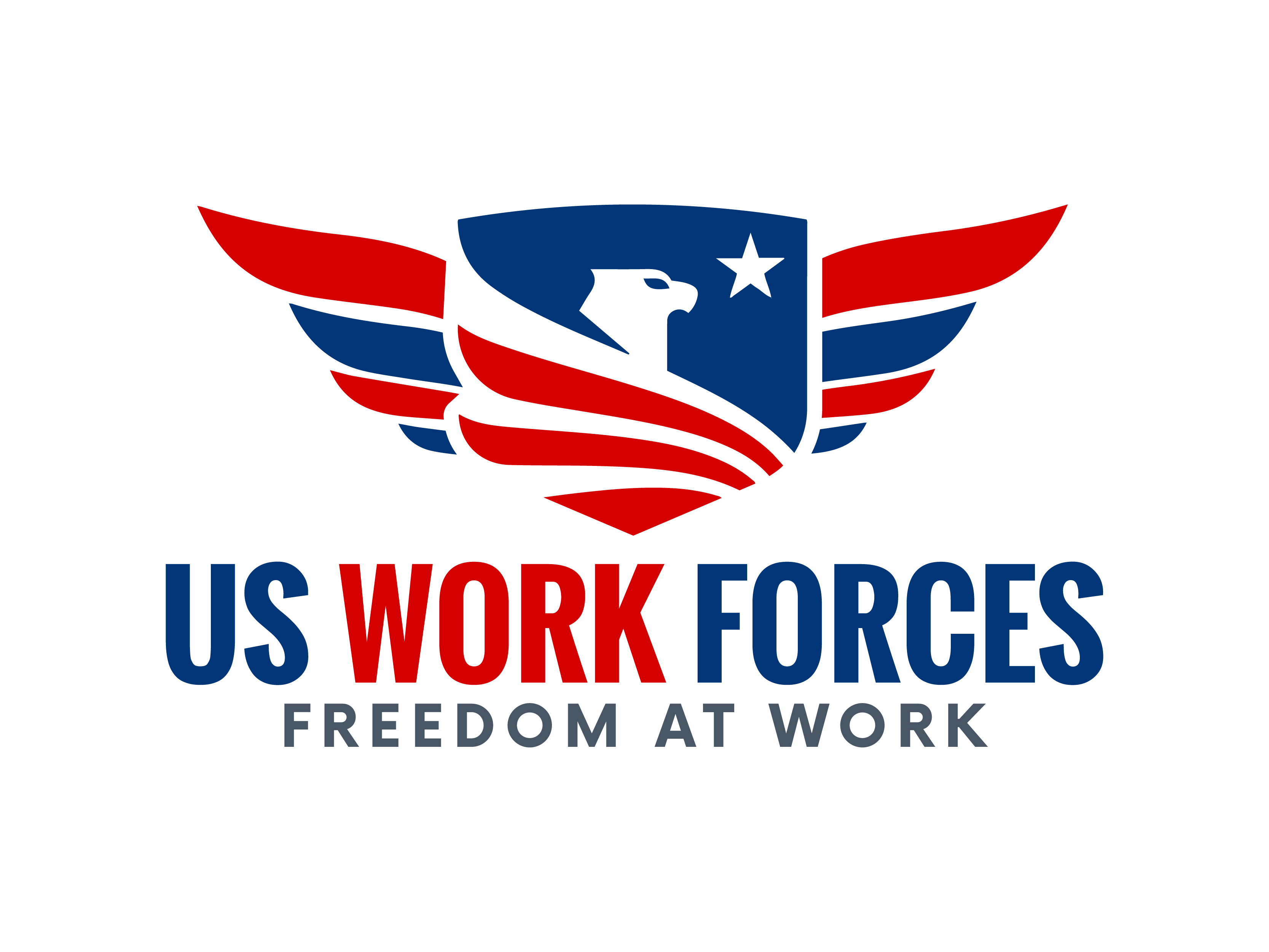 US Work Forces